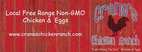 crane's chicken ranch, facebook cover image, cover image design, tara darcy design, business branding